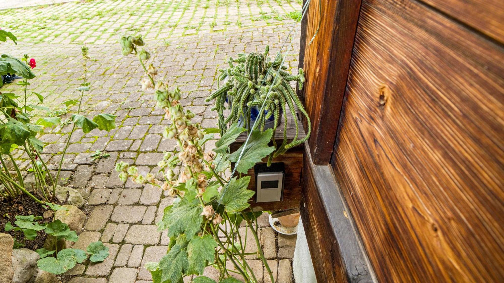 Haus Miriam Münstertal Exterior foto
